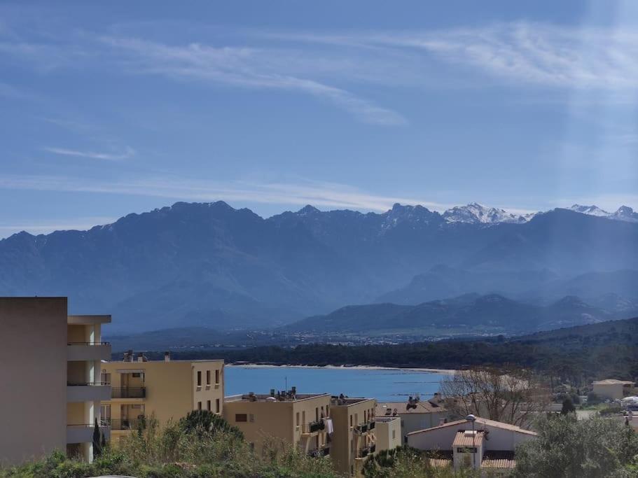 Appartamento Coeur De Calvi Calvi  Esterno foto