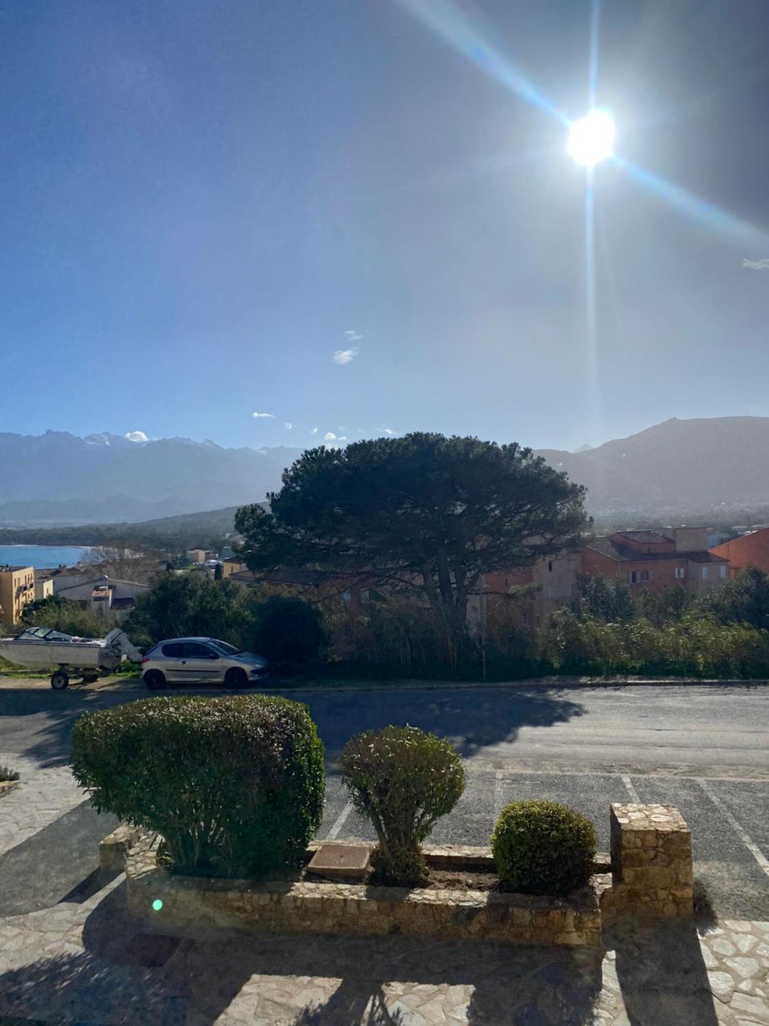 Appartamento Coeur De Calvi Calvi  Esterno foto